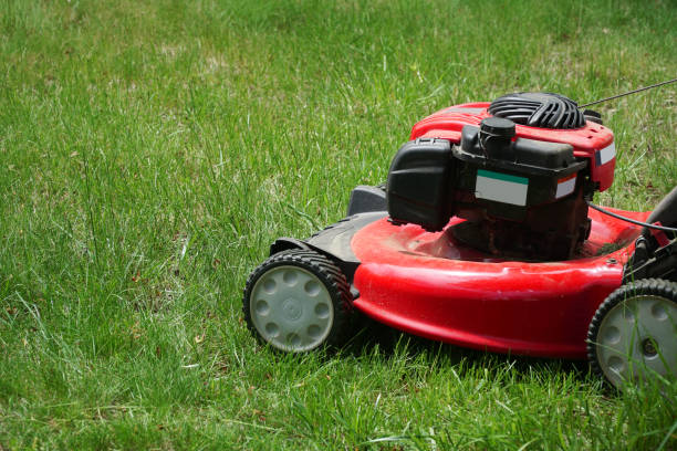 istock close up on lawn mower on green lawn 2172764637