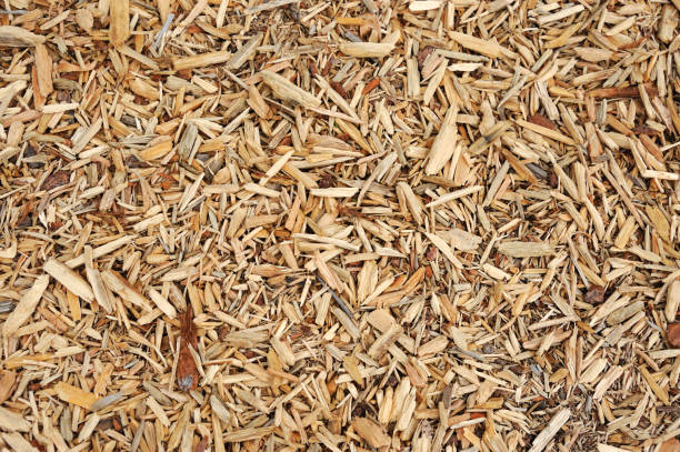 istock high angle view of mulch background in garden 2172764738