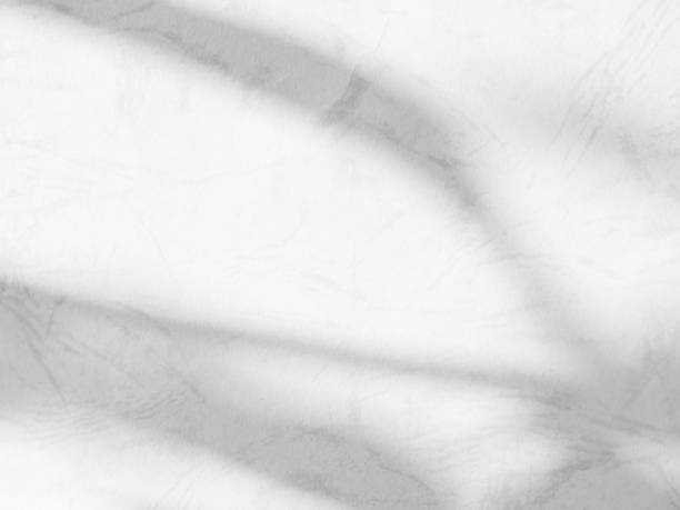 istock Shadow light summer background sunight overlay nature on room cement wall floor abstract blur muckup effect grey minimal platform for presentation product backdrop, wallpaper template display. 2172768850