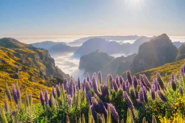 istock View from Pico do Arieiro, Portugal 2172771455