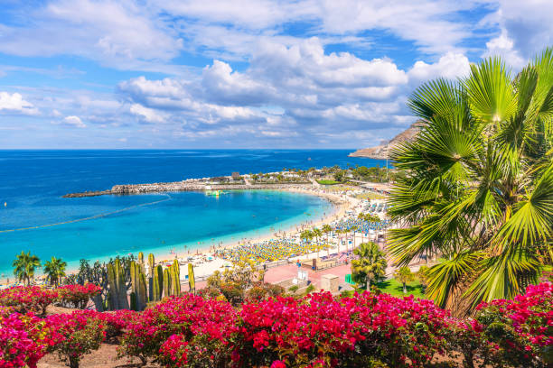 istock Amadores Beach in Gran Canaria, Spain 2172773802
