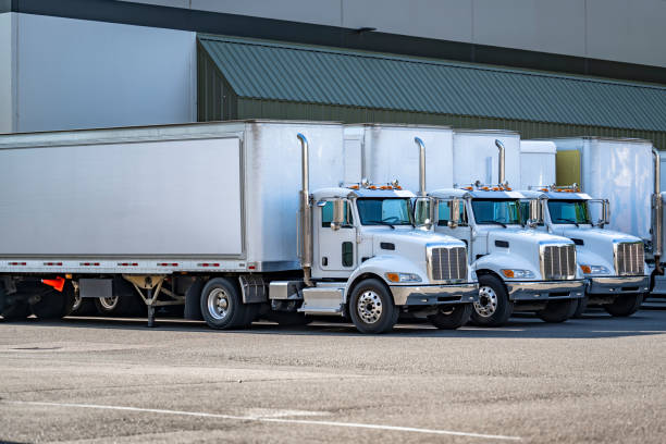 Day cab white big rig semi trucks with dry van semi trailers standing in row on warehouse parking lot waiting for the next loads for local deliveries stock photo