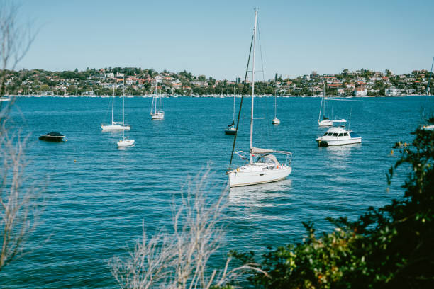Sydney Bay and Harbor