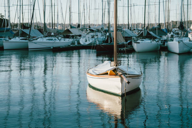Sydney Bay and Harbor