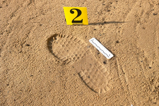 istock Shoe print in the sand with a scale ruler and a plate with a number, three-dimensional visible trace evidence, crime scene examination, forensic examination of traces 2172784972