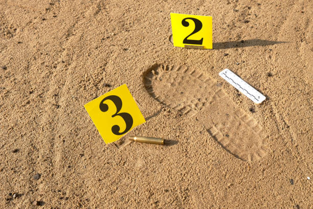 istock Shoe print in sand, firearm shell casing with scale ruler and number plate, evidence, crime scene examination, forensic examination of traces 2172784974