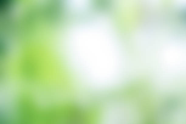 istock Green nature background bokeh leaf nature summer springtime blur sunlight natural fresh foliage environment ecosystem zero carbon envergy change backdrop, mockup product aesthetic beauty organic. 2172785265
