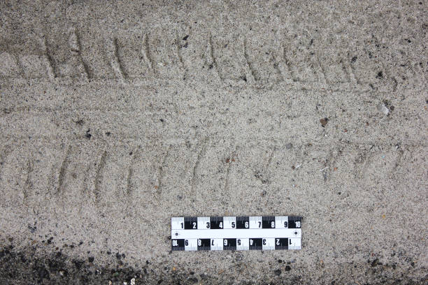 vehicle trace with a scale ruler on the ground, forensic trace examination. Evidence at the scene, crime investigation.