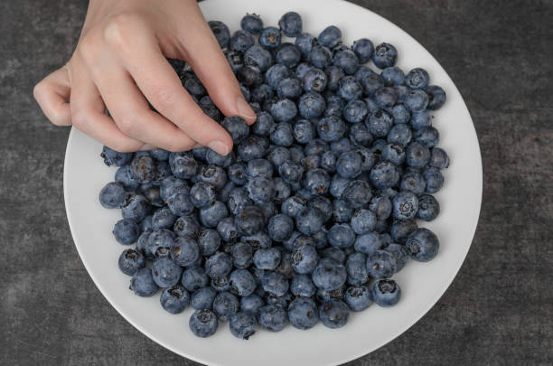 istock Beautiful ripe selected blueberries on a white plate 2172788262