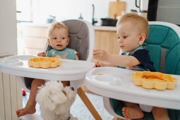 istock Baby boy sharing food with Maltese dog 2172801194