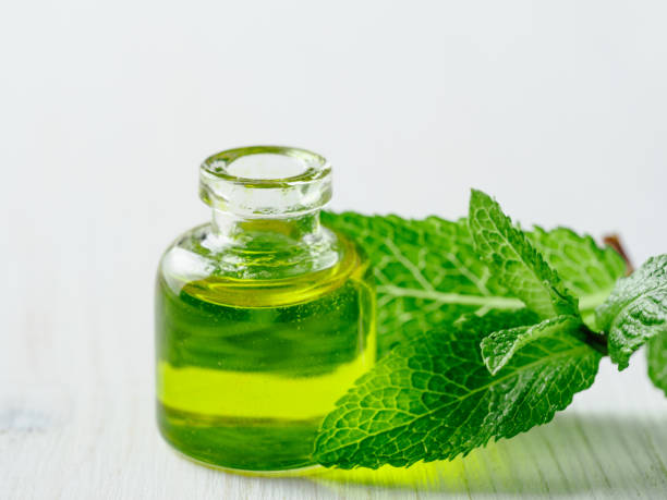 istock Melissa or mint oil with green leaves 2172804873