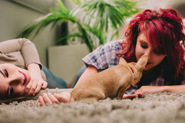 istock Two young women relaxing on the floor playing with dog 2172805266