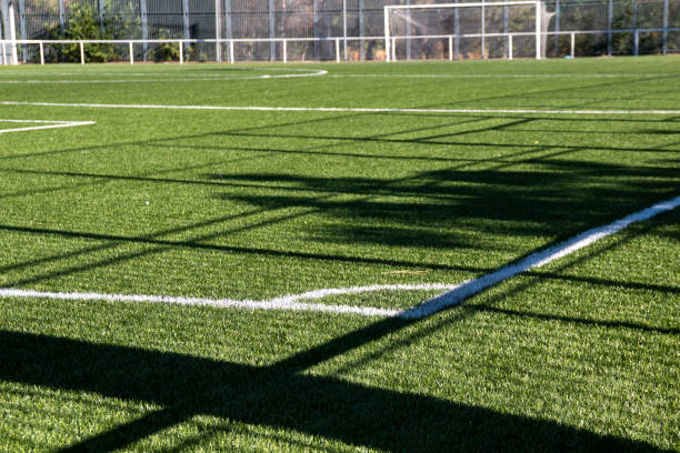 istock Grass soccer field with goals, white lines and nets on a sunny day 2172808847