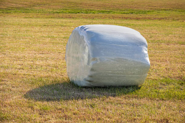 Plastic-wrapped hay bale in a field outside Itelleq which is a small village famous for its sheep farming in the south western part of Greenland.