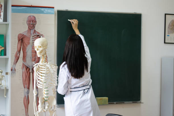 istock Female teacher in the classroom 2172819434