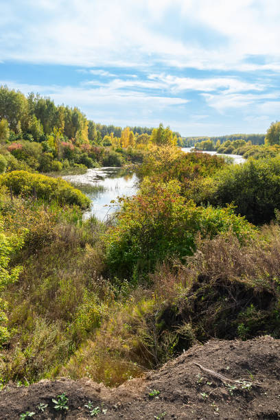 istock A beautiful, serene landscape with a lake and a forest. 2172819657