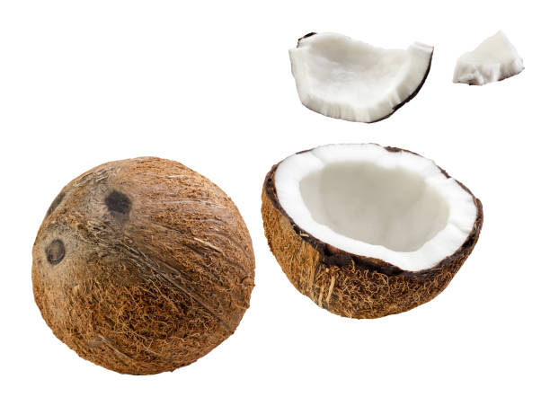 istock Coconut, half and pieces flying on white background. Isolated 2172827470
