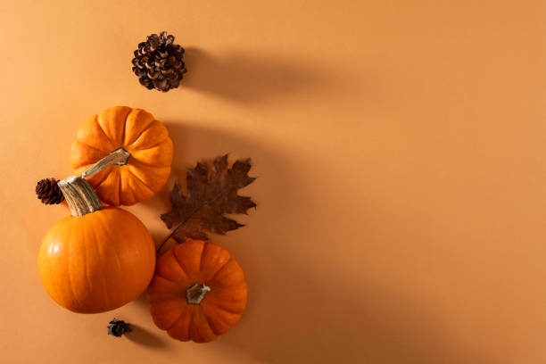 istock Thanksgiving Holiday and Autumn Background 2172835334