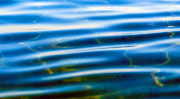 istock Calm sea water at sunny day 2172843104