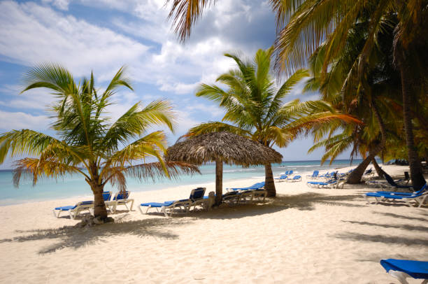 istock Exotic beach. The Dominican Republic 2172843401