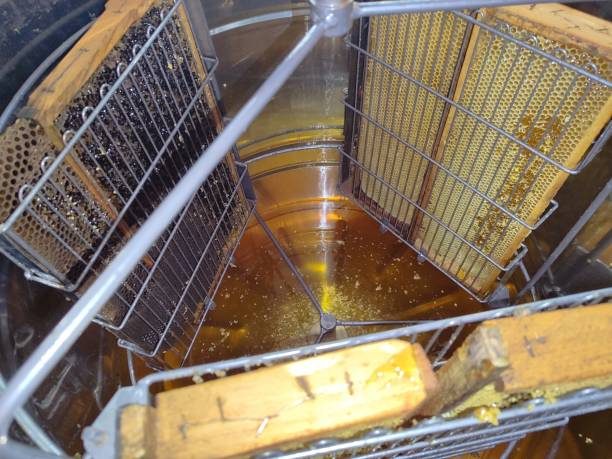 istock Honey production. The work of a beekeeper. Making honey in an apiary 2172843845