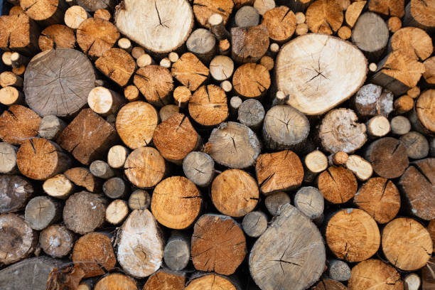 istock Closeup of log pile textured background 2172845166