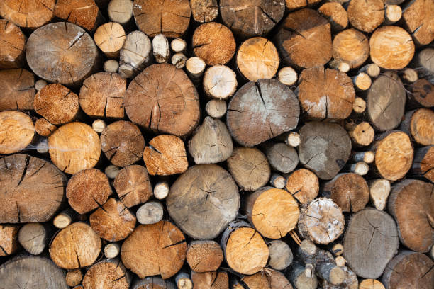 Closeup of log pile textured background