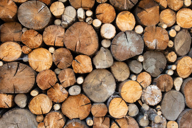 istock Closeup of log pile textured background 2172845221