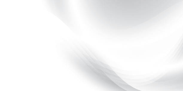 istock Abstract  white and gray color, modern design stripes background with curve lines. Vector illustration. 2172851100