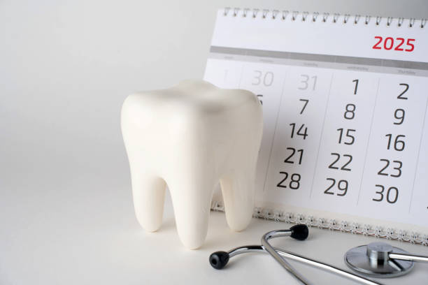 Dentist appointment calendar on a white background with copy space. Reminder calendar for visiting dental clinic. Dentistry check up date