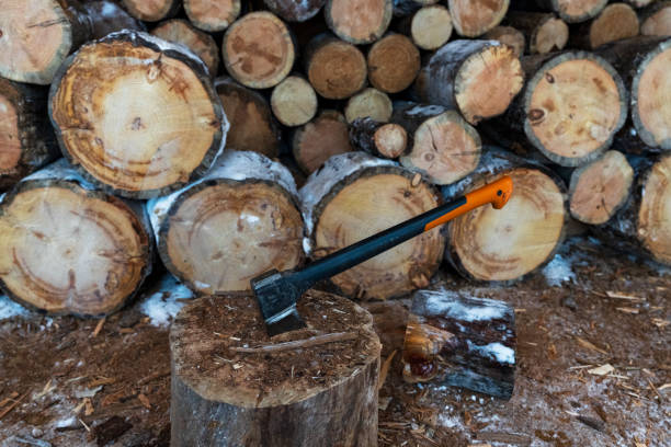 Axe stuck in a log  while cutting wood