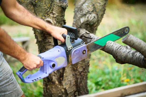 istock Close-up of man cutting trees using electrical chainsaw in motion 2172881012