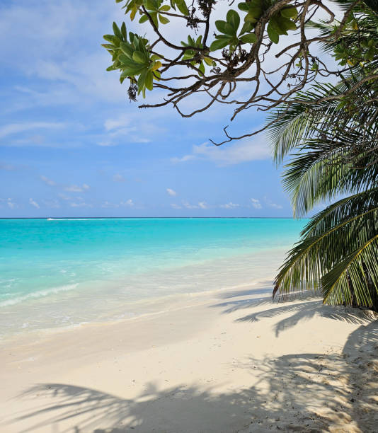 istock Tropical beach with turquoise water 2172883644