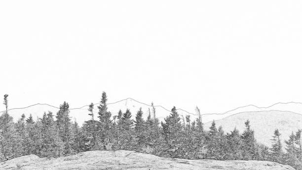 Black and white minimal landscape in the Adirondack Mountains.