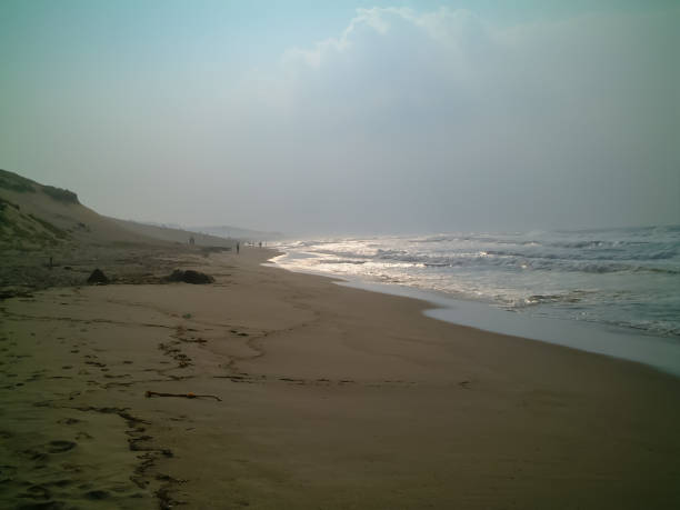 istock Misty Morning at the Seaside 2172891938