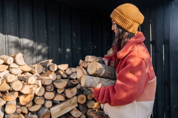 istock Bringing chopped firewood into the house 2172895468