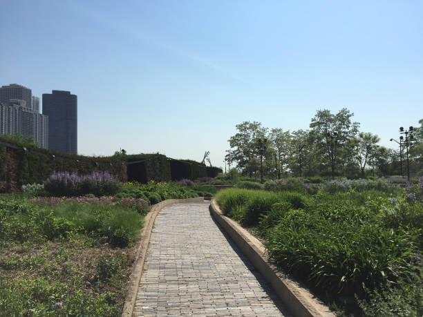 istock Chicago's Dynamic Streets, Iconic Architecture, and Lush Parks 2172899249