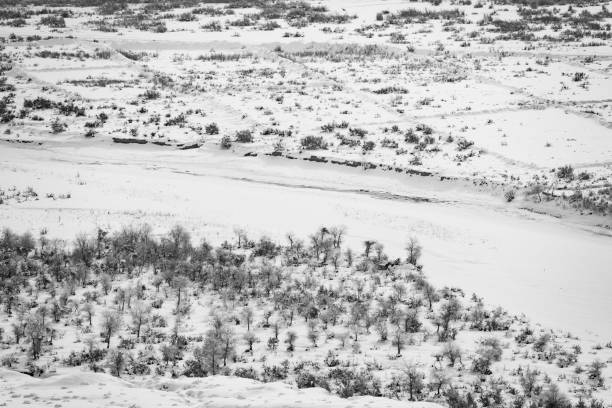 A snow-covered slope in Yığılca, Düzce