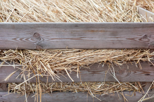 Rustic wooden crate with loose hay on white background. Rough-hewn wood, rectangular shape. Light golden hay packed tightly in the crate, creating a cozy and natural feel for farm-themed designs.