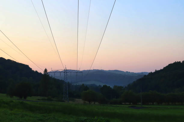 A picturesque wheat field under a clear sky, accented by towering power lines in the distance, capturing the essence of rural landscapes.