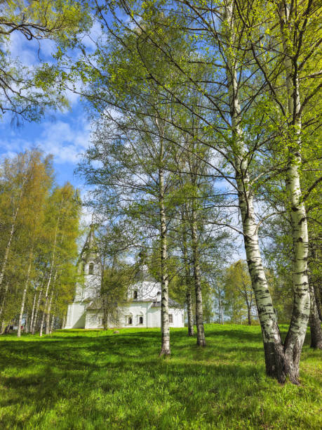 Green park. Assumption Cathedral. Orthodox church on Cathedral Hill in spring Plyos. Scenic view of small and picturesque old town of Plyos on bank of Volga river in springtime, Russia.