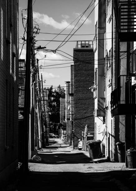 istock Alleyway in Montreal 2172916733
