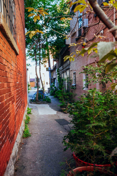 istock Alleyway in Montreal 2172916786