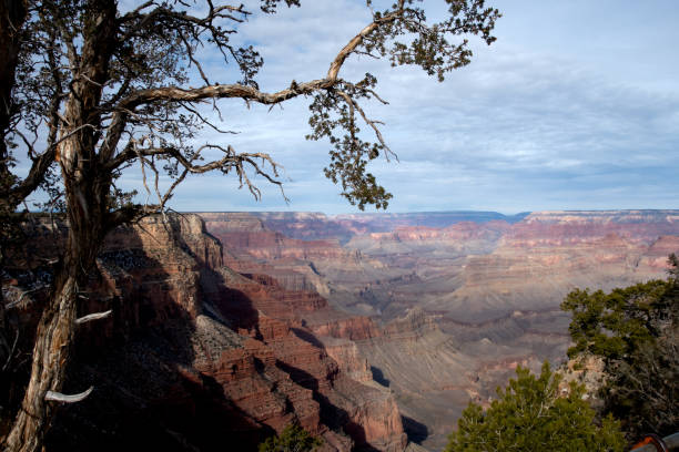 istock Grand Canyon National Park 2172917297