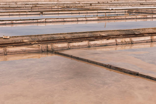 Aerial view of salt flats, Slovenia