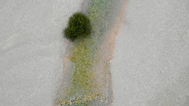 istock Aerial view of river and solitary tree 2172918492