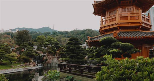 istock Traditional Chinese garden with lush greenery, small trees, serene 2172919742