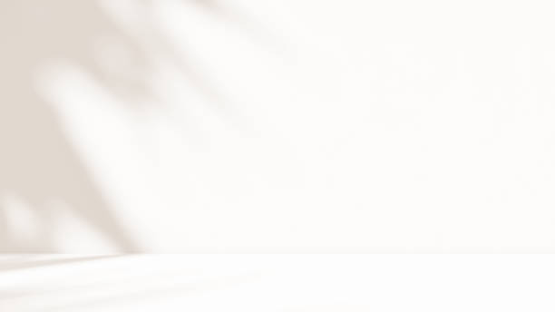 istock Empty cream brown beige room studio with shadow of leaves for product presentation. 2172920382