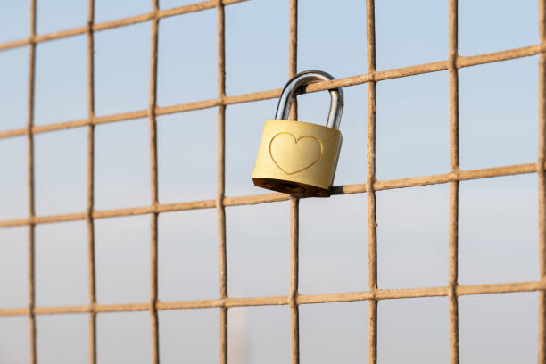 padlock engraved with a heart shape hangs on a metal fence, symbolizing love or commitment.