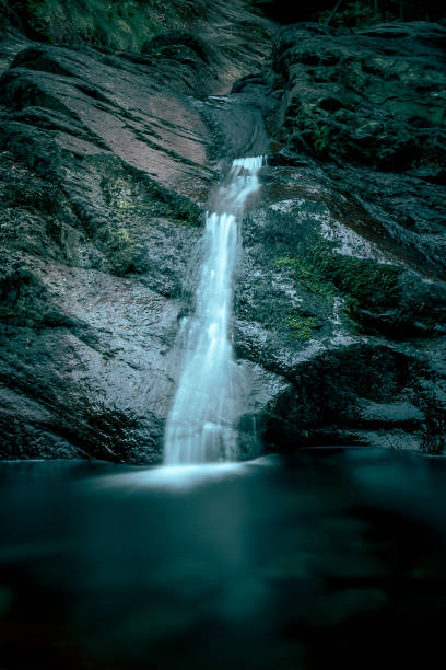 istock Ardennes in Belgium 2172920710